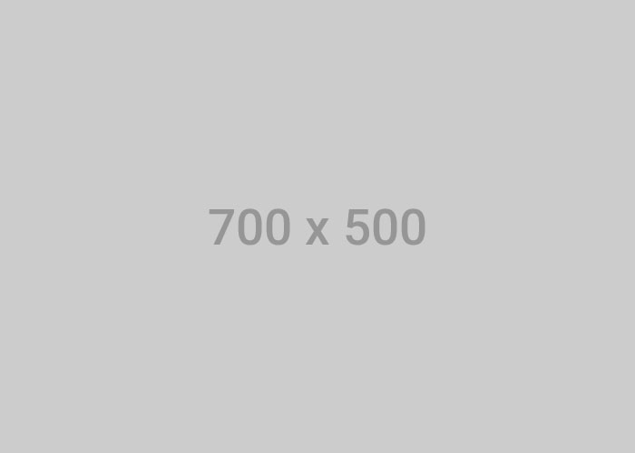 Proje Detay